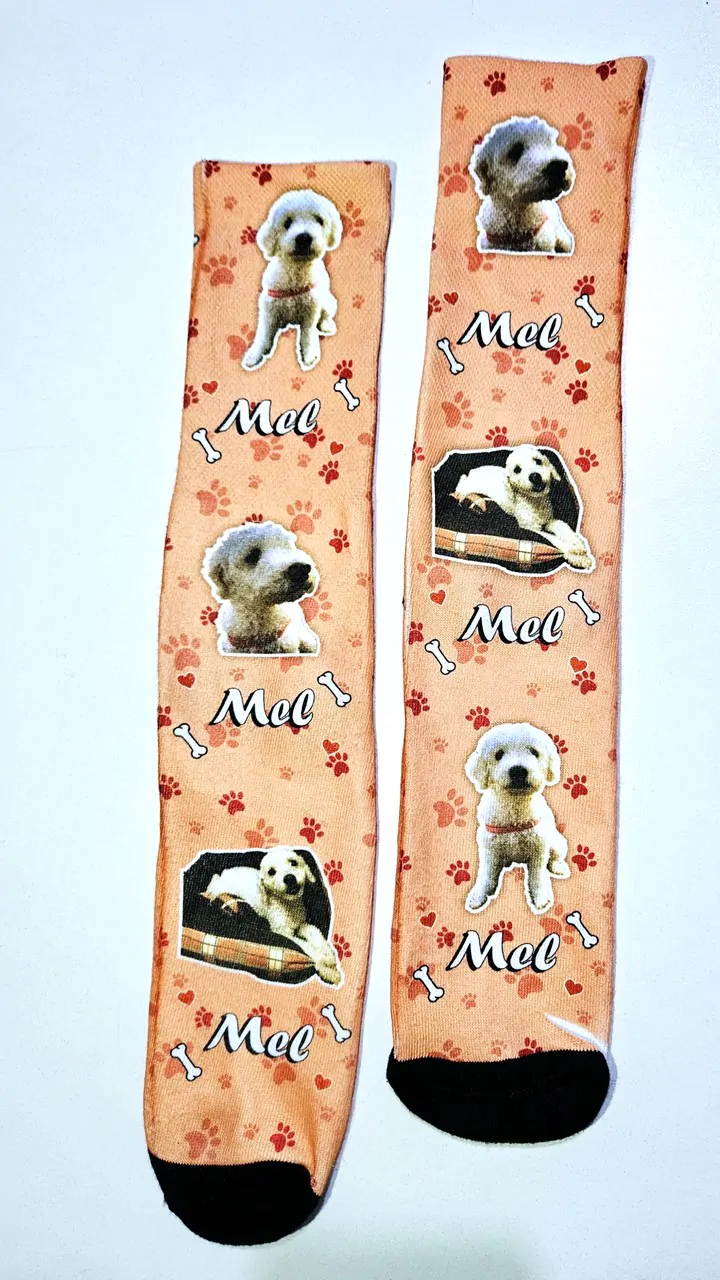 Meia Pet - Foto e Nome - Imagem 2